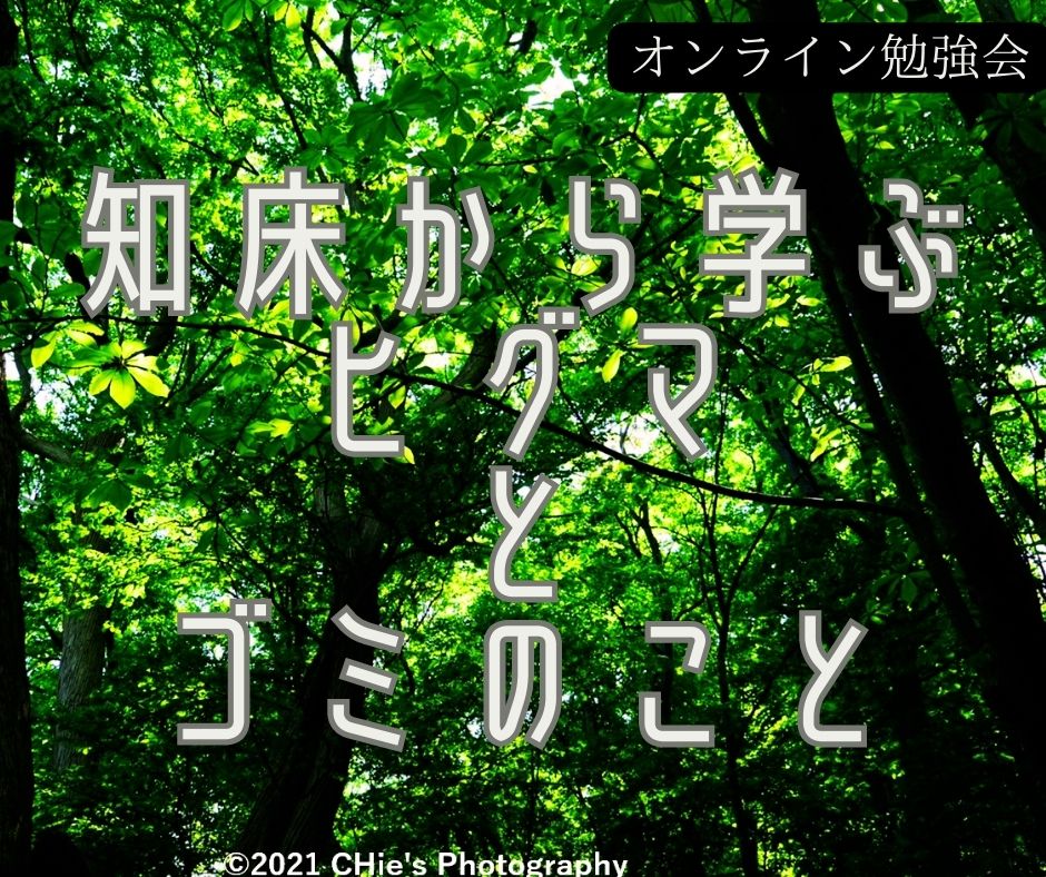 [9月8日クマの日 ] online勉強会 – 知床から学ぶヒグマとゴミのこと