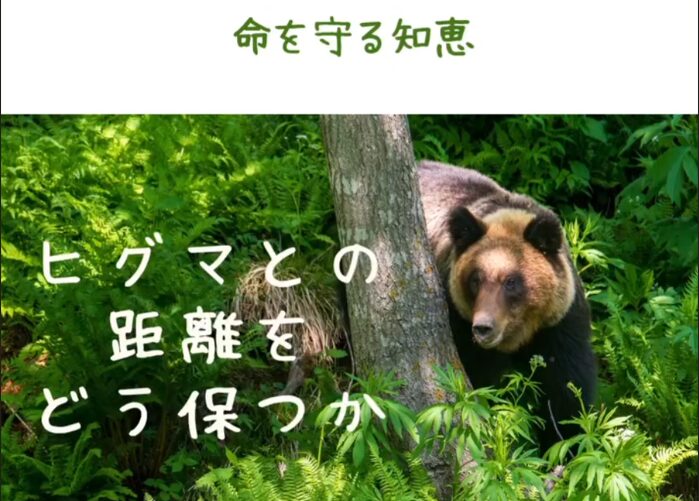 [Bear Smart Project ] オンラインヒグマクラス🐻命を守る知恵 – ヒグマとの距離をどう保つか